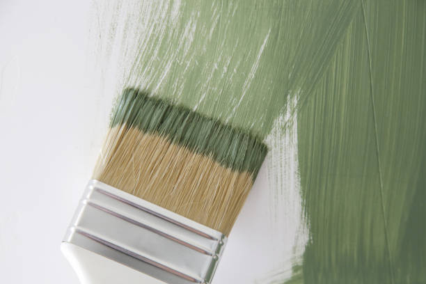 Best Mold Odor Removal Services  in Mendenhall, MS