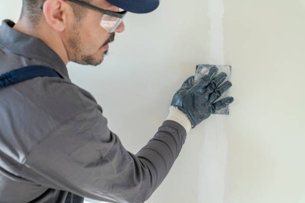 Best Comprehensive Air Testing for Mold Contaminants  in Mendenhall, MS