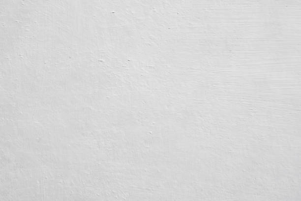 Mold Remediation for Vacation Homes in Mendenhall, MS