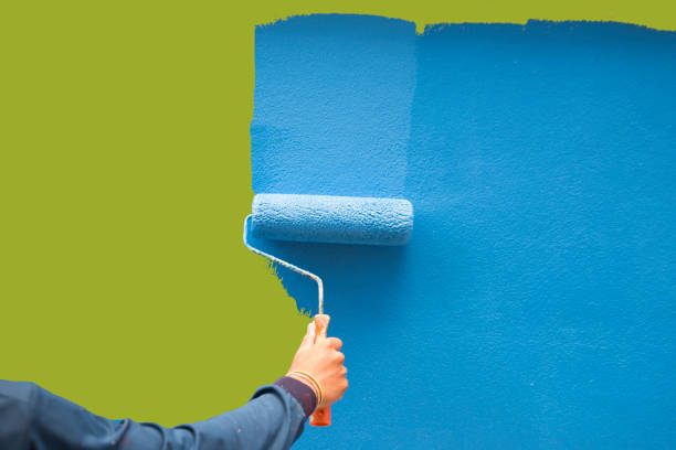 Mold Odor Removal Services in Mendenhall, MS